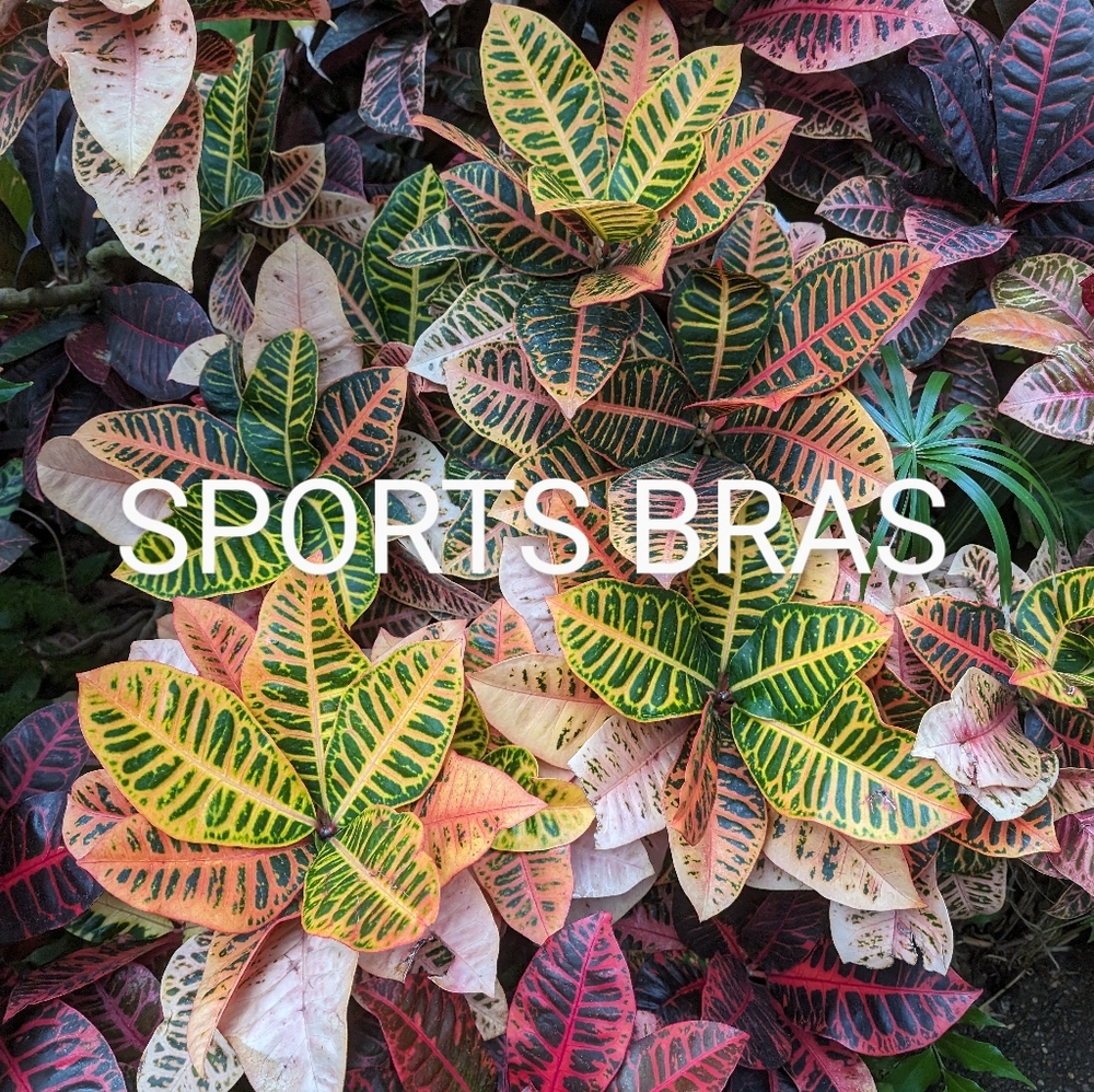 Sports bras